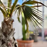 Apartament La Terraza De Porvenir 10 - Jerez de la Frontera